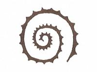 印花 樹脂製 No.72