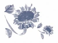 下絵転写紙 ひまわり 呉須