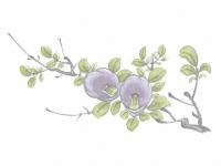 下絵転写紙 3色つばき