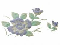 下絵転写紙 白盛 3色さざんか