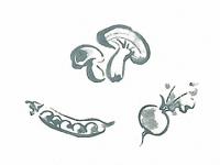 下絵転写紙　きのこ・えんどう・かぶ