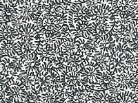 下絵転写紙　濃淡たこ唐草　呉須