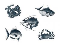 下絵転写紙 墨絵風魚介類