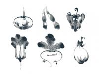 下絵転写紙　墨絵風やさい