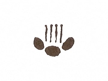 印花　樹脂製　No.4