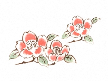 下絵転写紙 3色赤花つばき