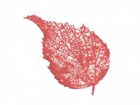 下絵転写紙　天目木の葉C　赤　10枚組
