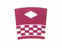 耐酸性上絵具　パープル