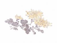 下絵転写紙　2色菊　イエロー