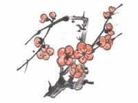 下絵転写紙　2色梅ノ木梅　ピンク