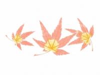 下絵転写紙　2色もみじ　レッド