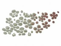 下絵転写紙　白盛　2色ちらし梅　レッド