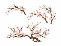 下絵転写紙　2色古典ざくら　ピンク