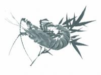 下絵転写紙 1色染付笹えび