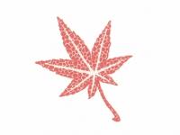 下絵転写紙　天目かいらぎもみじ大　赤　10枚組