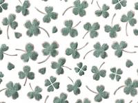 下絵転写紙　白盛　クローバーちらし