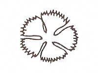 印花　樹脂製　No.73