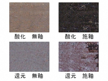 月ケ瀬　桂11号