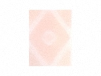 ローズシリーズ　Rose27