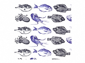 下絵転写紙　魚・タコ