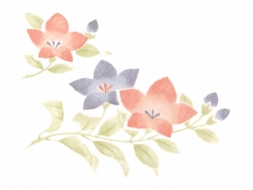 下絵転写紙　3色夫婦ぎきょう