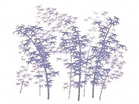 下絵転写紙　竹林(大)　呉須