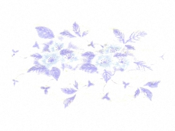 下絵転写紙 2色野花(小)