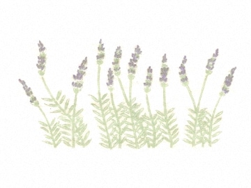 下絵転写紙　2色ラベンダー(小)