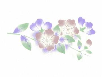 下絵転写紙　3色山桜