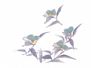 下絵転写紙　3色つゆくさ　トルコ