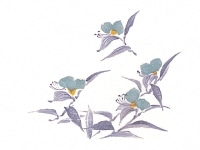 下絵転写紙　3色つゆくさ　トルコ