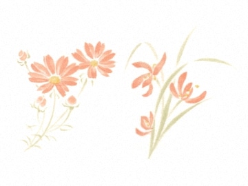 下絵転写紙　2色スイセン・コスモス　ピンク