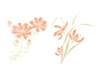 ムライト棚板 300*300*10mm | 陶芸ショップ.コム / 陶芸用品・陶芸材料