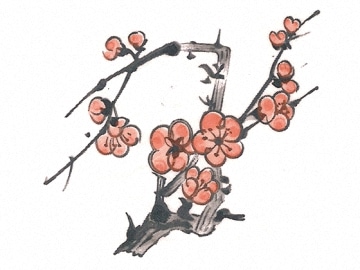 下絵転写紙　2色梅ノ木梅　ピンク