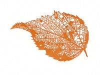 下絵転写紙　木の葉(大)　柿色