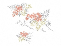 下絵転写紙　なんてん