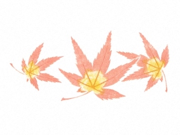 下絵転写紙　2色もみじ　レッド