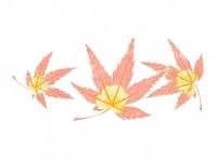 下絵転写紙　2色もみじ　レッド