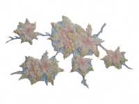 下絵転写紙　白盛　4色もみじ　レッド