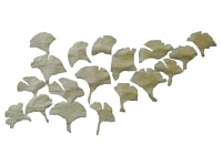 下絵転写紙　白盛　2色いちょう　イエロー