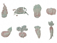 下絵転写紙　白盛　野菜大　レッド