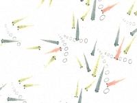 下絵転写紙　3色めだか