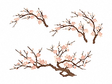 下絵転写紙　2色古典ざくら　ピンク