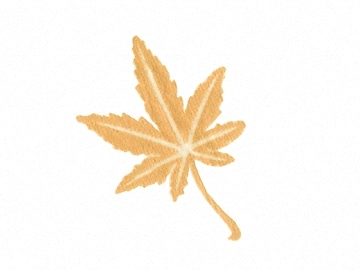 下絵転写紙 天目もみじ 赤 10枚組 | 陶芸ショップ.コム / 陶芸