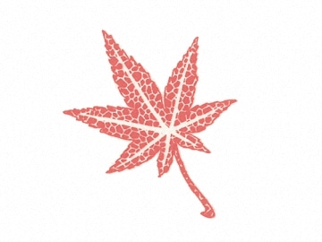 下絵転写紙　天目かいらぎもみじ大　赤　10枚組