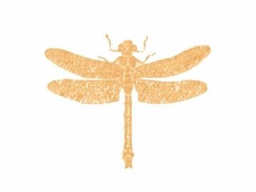 下絵転写紙　天目とんぼ中　黄　10枚組