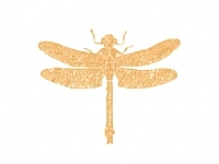 下絵転写紙　天目とんぼ中　黄　10枚組