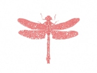 下絵転写紙　天目とんぼ中　赤　10枚組