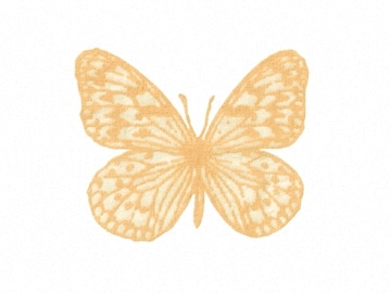 下絵転写紙　天目蝶C　黄　10枚組