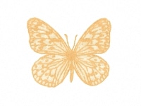 下絵転写紙　天目蝶C　黄　10枚組